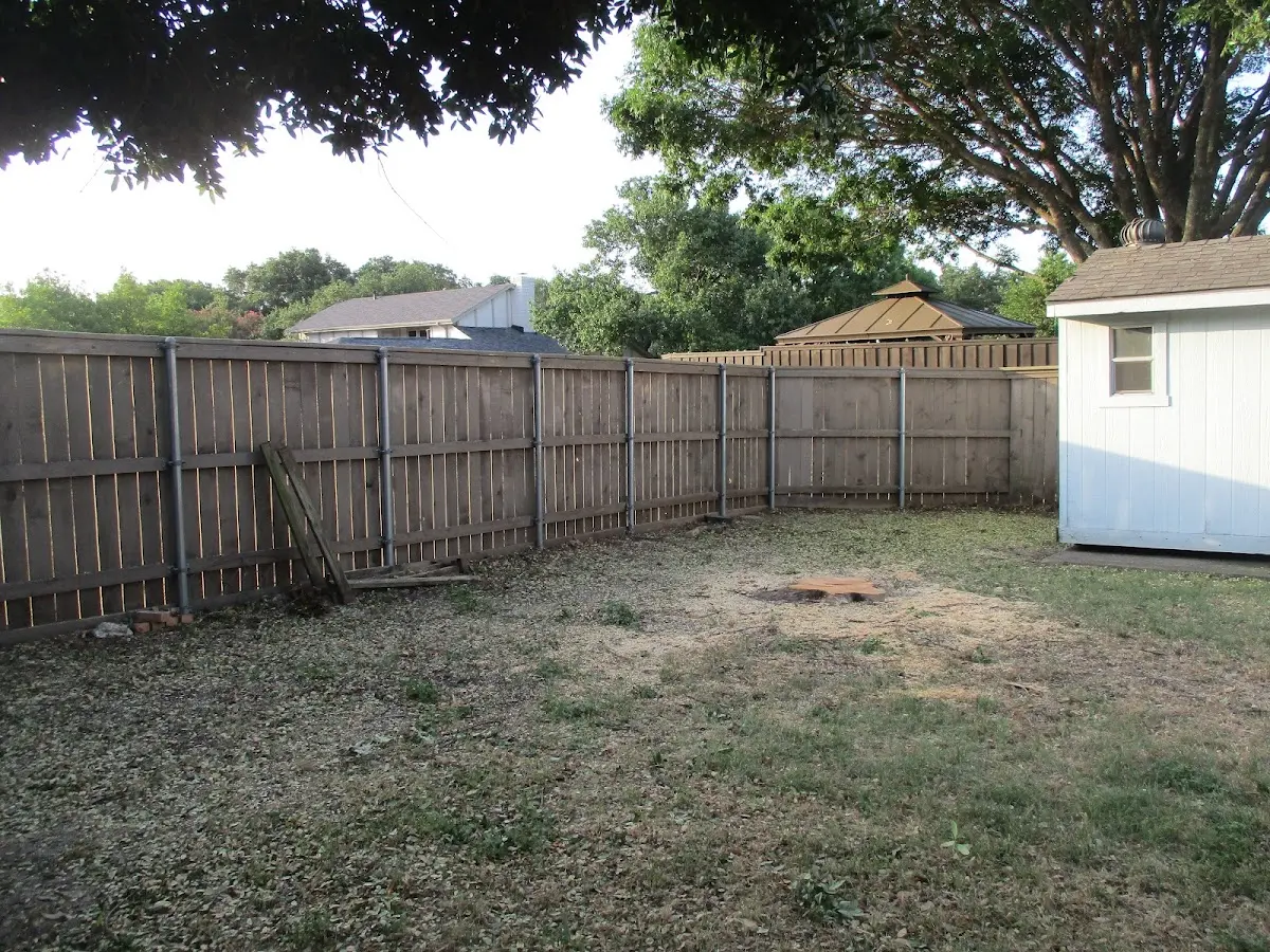 Cleared yard after professional tree removal in Welch